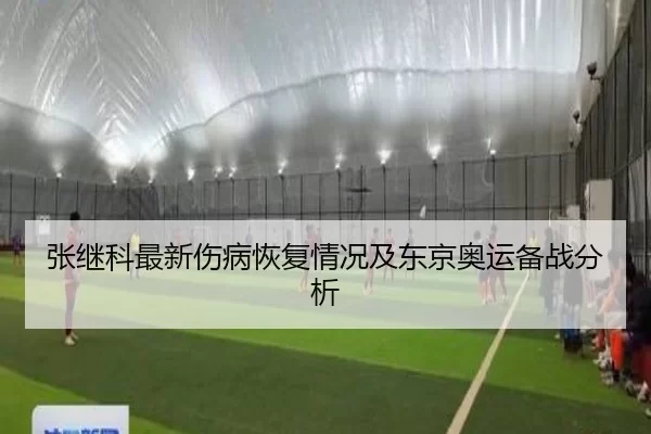 张继科最新伤病恢复情况及东京奥运备战分析